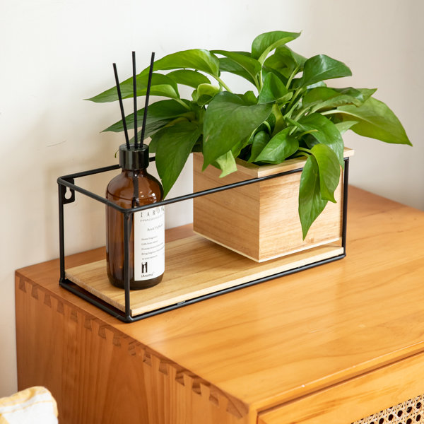 17 Stories Accent Shelf Wayfair Canada